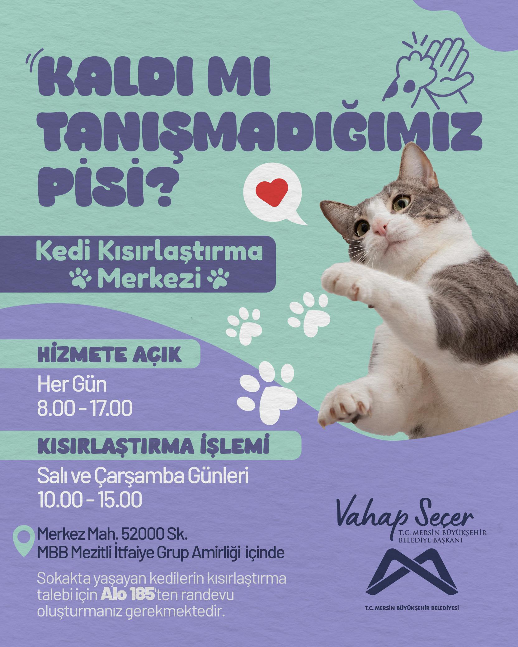 Kaldı mı tanışmadığımız pisi? 