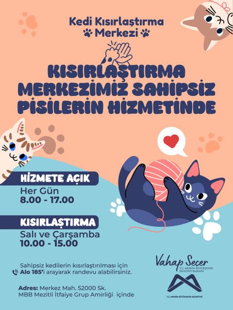 Kısırlaştırma Merkezimiz Sahipsiz Pisilerin Hizmetinde!