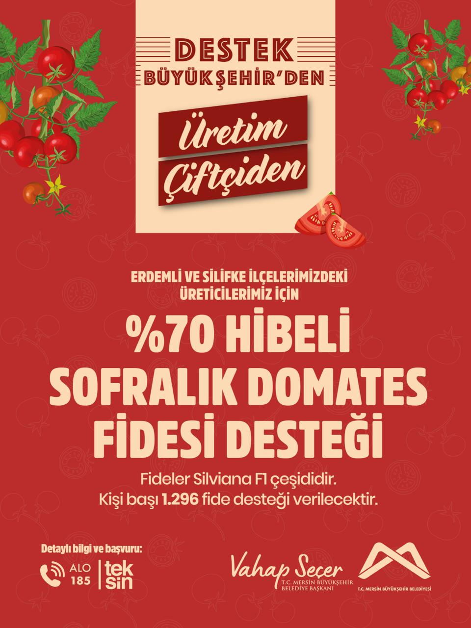 Destek Büyükşehir'den, üretim çiftçiden.  Erdemli ve Silifke'deki üreticilerimiz için kişi başı 1.296 adet %70 hibeli sofralık domates (Silviana F1) fidesi desteğimiz başladı. 