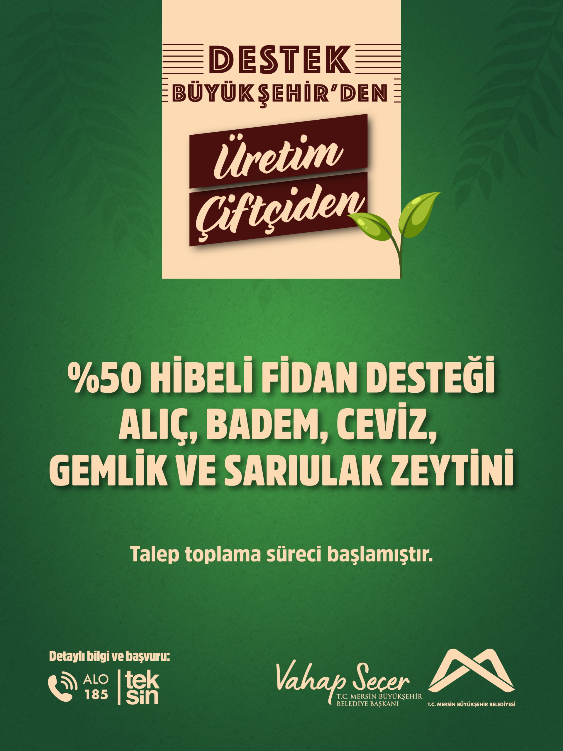 % 50 hibeli fidan desteği; Alıç, badem, ceviz, gemlik ve sarıulak zeytini talep toplama süreci başlamıştır.