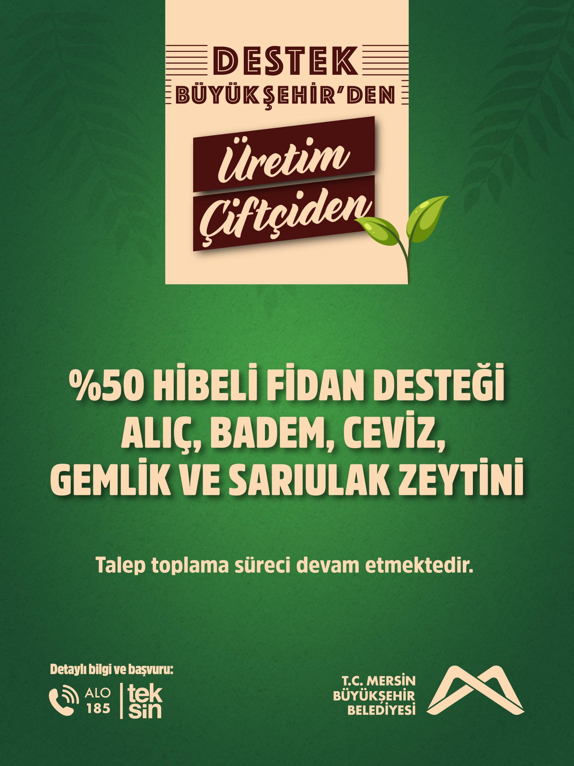 Destek Büyükşehir'den, üretim çiftçiden.  % 50 hibeli fidan desteği.